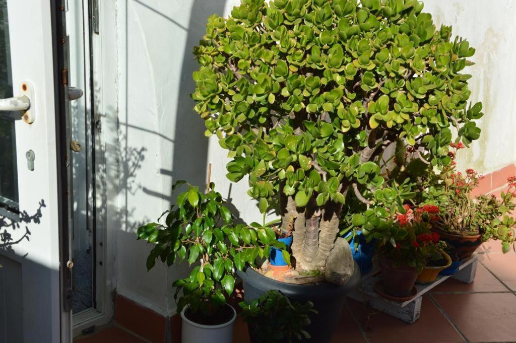B&B Spiraglio Сиракузы Экстерьер фото